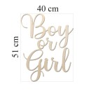 napis-Boy-or-Girl.jpg
