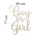 Boy or Girl 60 cm.jpg