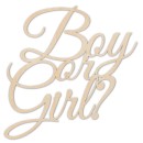 Napis-Boy-or-Girl-dekoracje-na-baby-shower.jpg