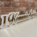 Napis-z-pleksi-I-Komunia-Święta-eleganckie-dekoracje-komunijne.png