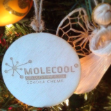 Bombki z logo - Wycena indywidualna  .